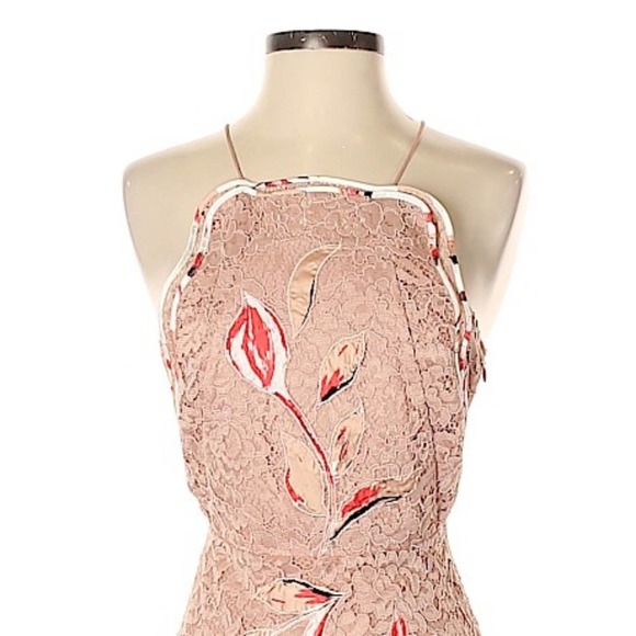 Sachin + Babi SPRING 2017 READY-TO-WEAR Romantic Pink Floral & Lace Dress - Picture 12 of 16